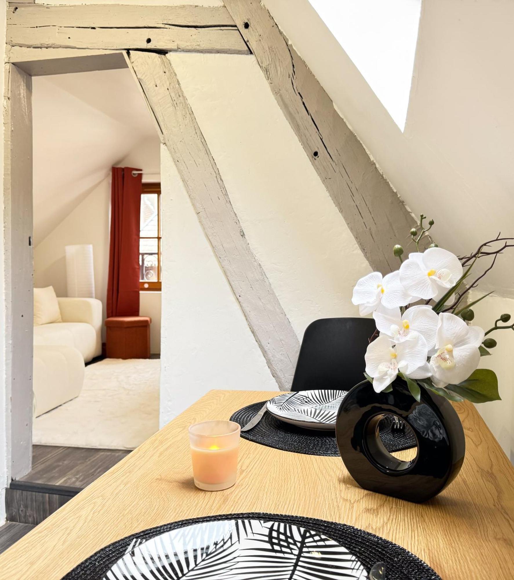 La Douceur - Hypercentre Pieton De Troyes - Cozy Apartamento Exterior foto